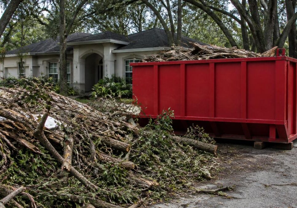 how-to-dispose-of-storm-debris-after-a-hurricane-1792236387