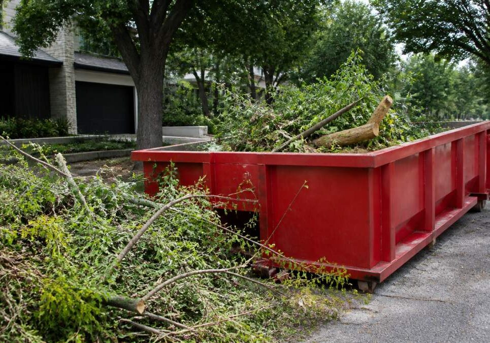 yard-waste-disposal-for-landscaping-pros-in-austin-1789442384-1